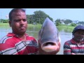 Fisheries for small farmer
