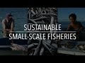 FAO Policy Series: Sustainable Small-Scale Fisheries