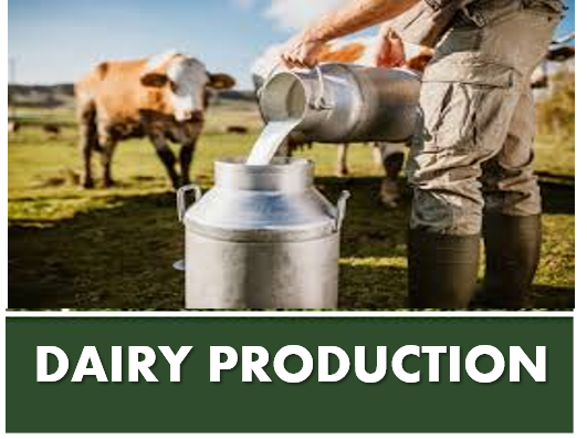 DAIRY PRODUCTION