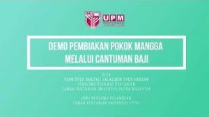 Demo Pembiakan Pokok Mangga Melalui Cantuman Baji