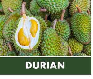 DURIAN