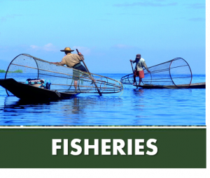 FISHERIES