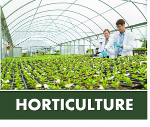 HORTICULTURE