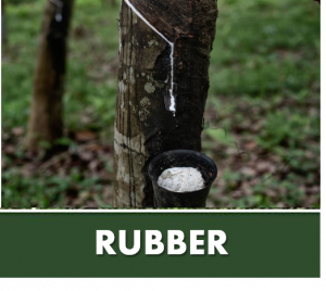 RUBBER