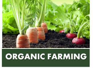 ORGANIC FARMING