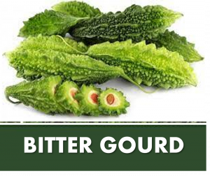 BITTER GOURD