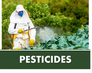 PESTICIDES