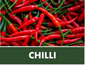 CHILLI