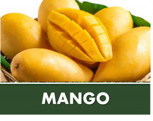 MANGO