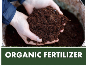 ORGANIC FERTILIZER