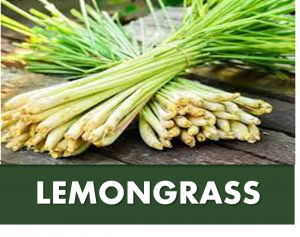 LEMONGRASS