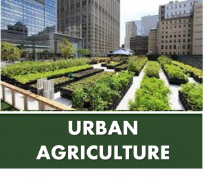 URBAN AGRICULTURE