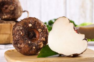 KONJAC